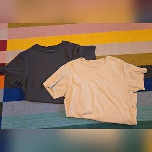 Everlane Short Sleeve Tees — Charcoal & Beige